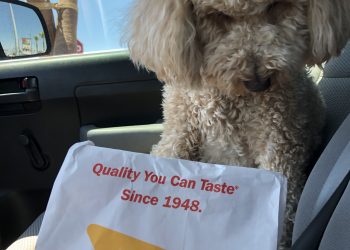 Secret Menu: In-N-Out’s Pup Patty