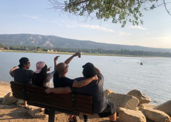 Forty in the Forest Festival