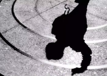 Brother Ali & Evidence – “Greatest That Never Lived” (Video)