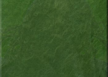 Kembe X, Ab-Soul & IceColdBishop Are “Back At It”