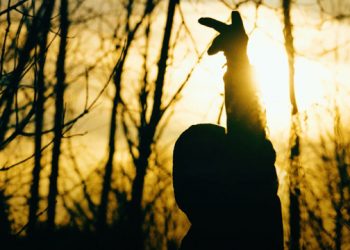 Chris Crack – “False Evidence Appearing Real” (Video)