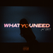 Jae Stephens – “What You Need” f. THEY.