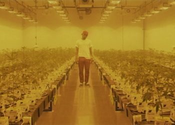 Westside Boogie – “Do 4 Love” Freestyle