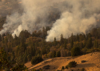 Hiker Charged With Starting Massive California Wildfire After Trying to Boil Water Containing Bear Urine to Drink