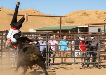 ‘Jackass’ Cast Racked Up More Than $24 Million in Medical Bills, Study Finds