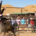 ‘Jackass’ Cast Racked Up More Than $24 Million in Medical Bills, Study Finds