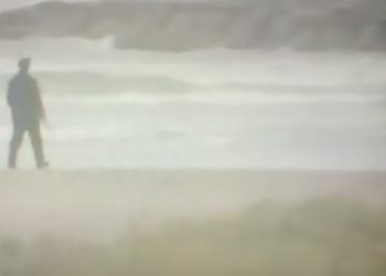 Texas Lawyer Cited by Police After Walking Beach in Costume as Michael Myers