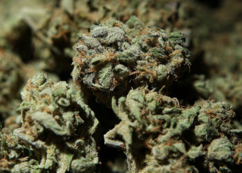 Los Angeles County District Attorney to Dismiss Nearly 60,000 Marijuana Offenses