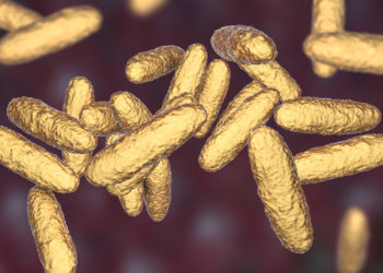 Cases of ‘Flesh-Eating’ STI That Causes ‘Beefy Red’ Ulcers Growing in UK