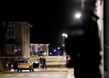 Man Arrested After Using Bow and Arrow to Kill and Injure Multiple People in Norwegian Town