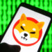 Shiba Inu Cryptocurrency Investor Turns $8,000 Into $5.7 Billion