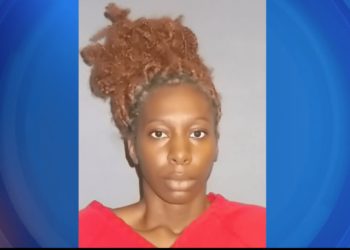 Woman Steals SUV With 5 Kids Inside After Driver Stopped to Help Her In Her Own Crash