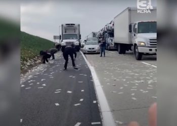 Chaos Erupts on California Freeway After Armored Truck Spills Loads of Cash