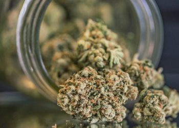 Connecticut Health Officials Warn of Fentanyl-Laced Weed After Series of Overdoses