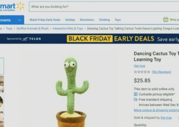 Walmart Canada Removes Cactus Toy That Sings About Cocaine in Polish