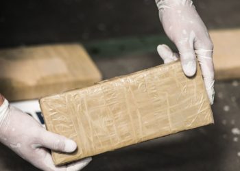 DEA Seizes Over 920 Kilos of Cocaine Stashed in Lawn Equipment Headed for NYC