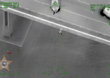 Video Shows Florida Man Crash Stolen Van and Jump Off Bridge Into River to Escape Police