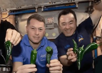 SpaceX Astronauts Had to Wear Diapers Following Broken Toilet