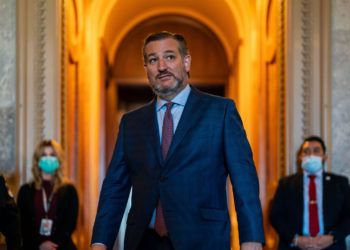 People Clown Ted Cruz After He Criticized Big Bird for Getting Vaccinated