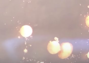 Scientists Say Living Robots Known as Xenobots Have Achieved an ‘Entirely New Form of Biological Reproduction’