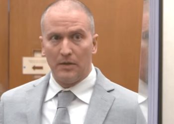 Derek Chauvin Expected to Plead Guilty to Violating George Floyd’s Civil Rights