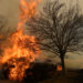 Colorado Residents Forced From Homes Due to Wind-Driven Wildfires