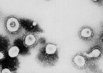 Scientists Discover Omicron COVID-19 Variant Has a ‘Stealth Version’ That’s Harder to Detect With Testing