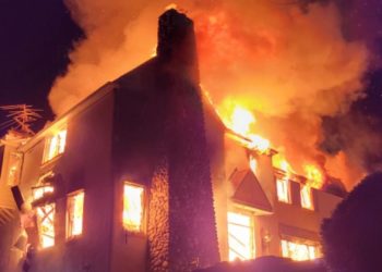 Homeowner Unintentionally Burns Down House While Trying to Fight Snake Infestation