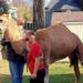 Kansas Police Capture ‘Forrest Hump’ Camel That Broke Free From Nativity Scene