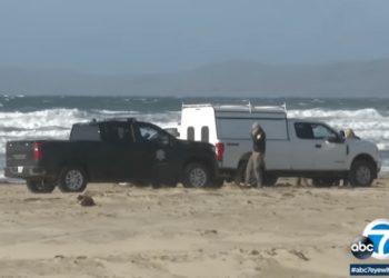 Surfer Killed in Apparent California Shark Attack on Christmas Eve