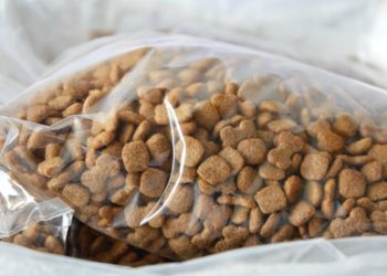 Woman Says Gifts in Her Luggage Were Replaced by Dog Food