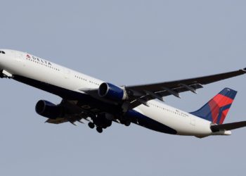 Delta Passenger Reportedly Caught Breastfeeding Cat Mid-Flight
