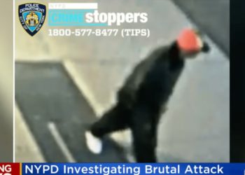 Chinese Immigrant Dies of Injuries Months After Brutal New York City Attack