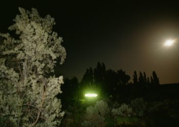 Video of Potential UFO Sighting Includes Hilarious Commentary From Woman Who Filmed It