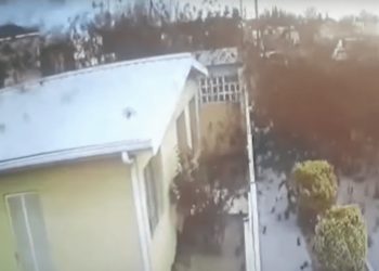 Eerie Video Shows Hundreds of Birds Falling From the Sky