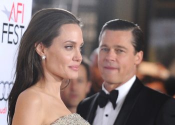Brad Pitt Reportedly Sues Angelina Jolie Over Sale of French Winery
