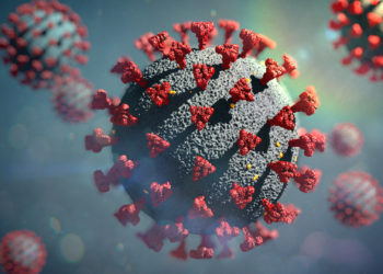 New Studies Suggest Wuhan Market Likely Site of COVID-19 Pandemic’s Origin
