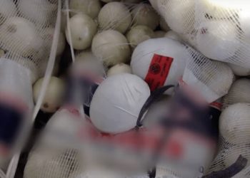 Officers Find Nearly $3 Million of Meth in California Onion Shipment
