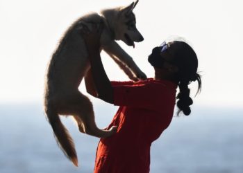 Study Finds Having Pets May Have Positive Impact on Brain Power