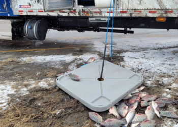A Truck Carrying Live Fish Rolled Over on a Toronto Highway