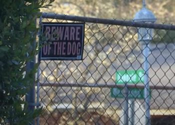 Georgia Woman Charged After Dog Attack Leaves Infant Dead
