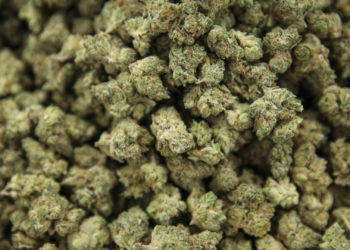 New Study Links Marijuana Use to Lower Resting Heart Rate