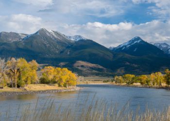 Montana Man’s Body Discovered After a Fatal ‘Encounter With a Grizzly’