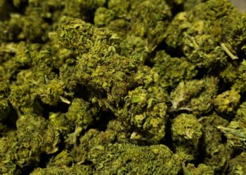 New Yorkers With Marijuana Convictions to Be Offered First Retail Licenses