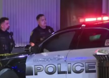 Spring Break Shootings in Florida and Texas Leave Multiple People Hospitalized