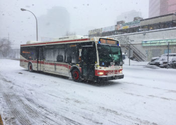 TTC Fires Bus Driver for Filming Intoxicated Female Passengers