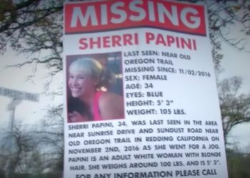 Sherri Papini Agrees to Plead Guilty Over California Kidnapping Hoax