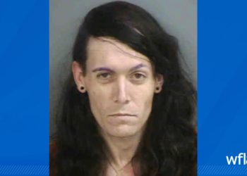 Florida Man Arrested After Baby Alligator, Guns, Drugs Found Inside Truck