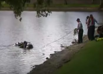 Teen Dies After Attempting to Save Driver Who Crashed Car Into Florida Canal