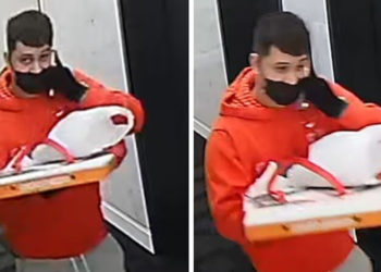 Toronto Police Search for Fake Pizza Delivery Driver Who Robbed a Condo
